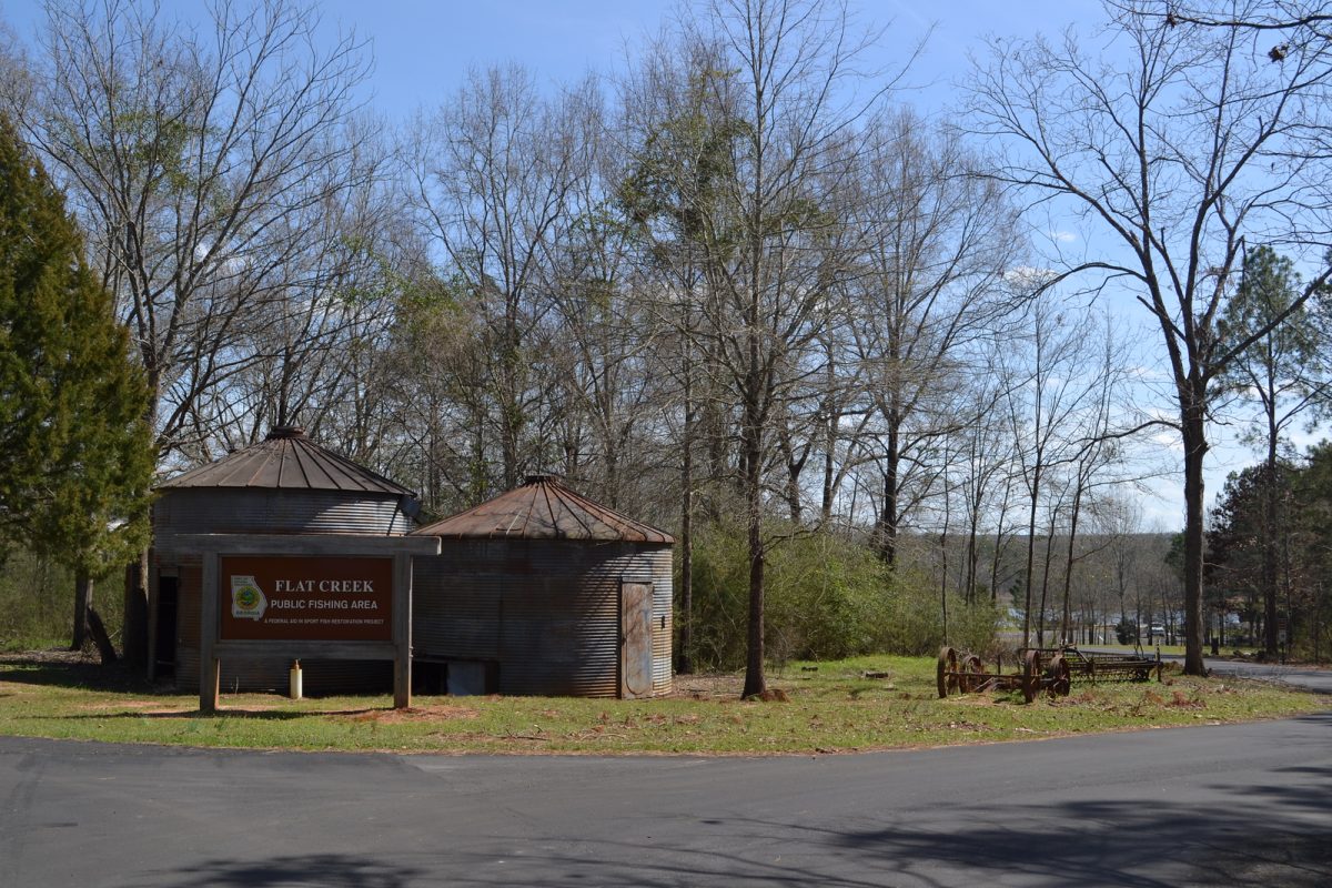 Georgia DNR News Release: Need a Great Place to Fish - We Know Just the Right Location