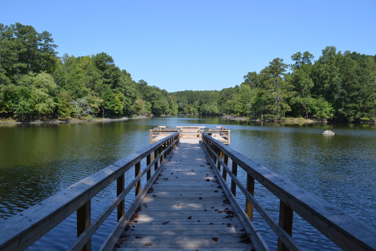 Georgia DNR News Release: Need a Great Place to Fish - We Know Just the Right Location