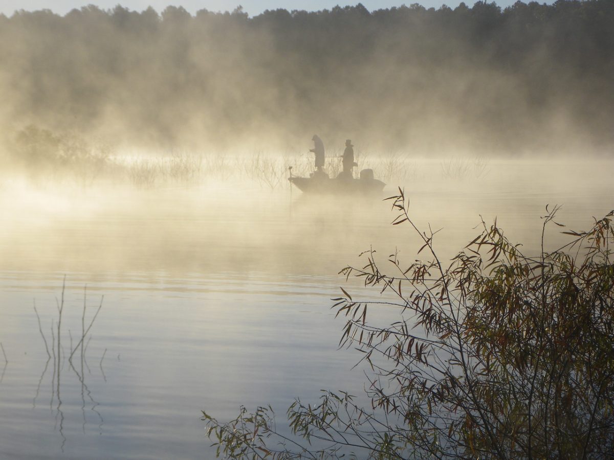 Georgia DNR News Release: Need a Great Place to Fish - We Know Just the Right Location