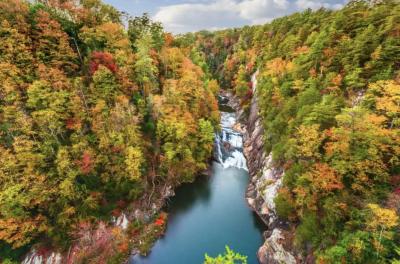 Georgia Breaks Tourism Records Four Years Straight