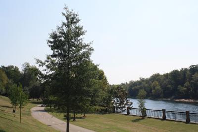 Georgia Tourism Sets Another Record, and Columbus Drew 3.1 Million Visitors