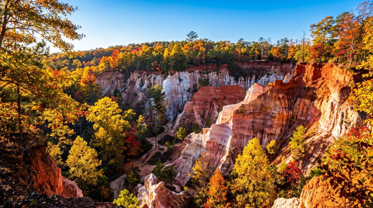 Best Places to See Fall Leaves Near Columbus: 3 Easy Day Trips