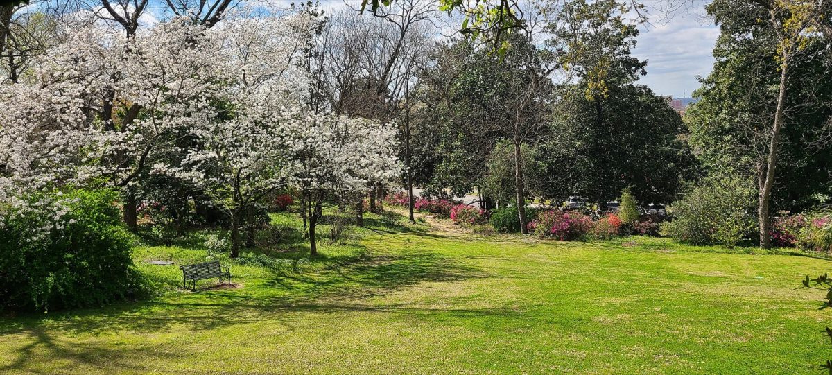The Bradley Olmsted Garden at The Columbus Museum is free to visit during museum hours.