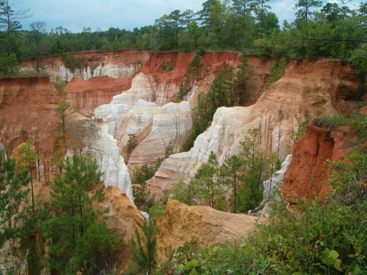 Providence Canyon State Park covers 2,706 acres in Stewart County and drew 339,594 visitors in 2024.