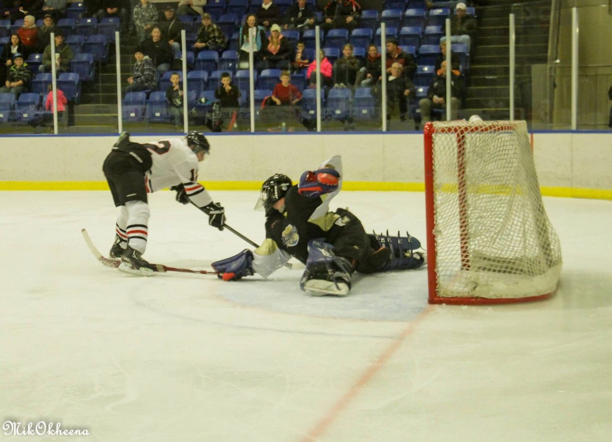 A goalie makes a save on a breakaway (file photo).