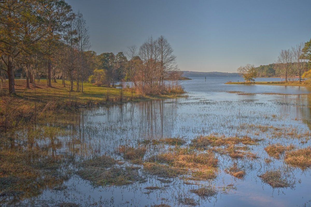 Lake Eufaula, also called Walter F. George Lake, on the Chattahoochee River.