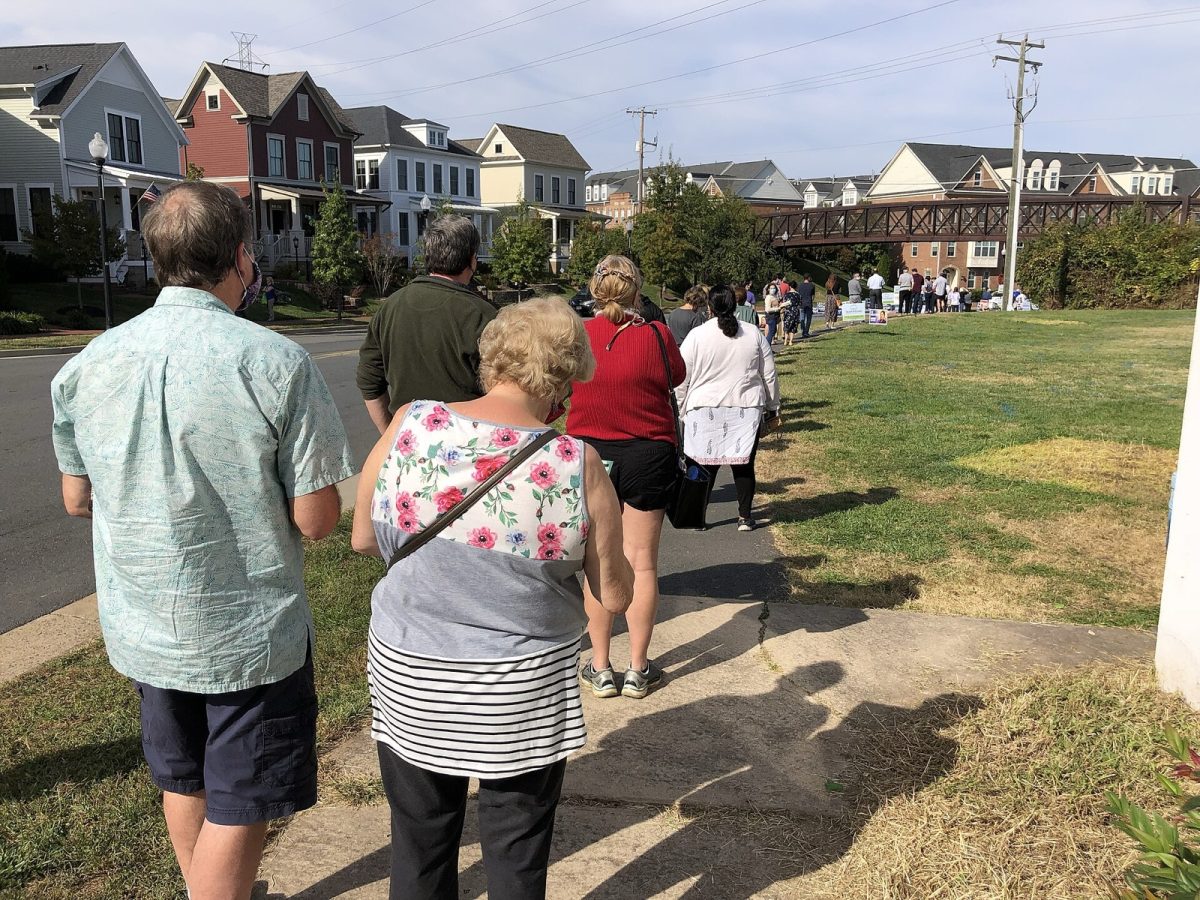 Voters line up for early voting (file photo, Virginia, 2020).
