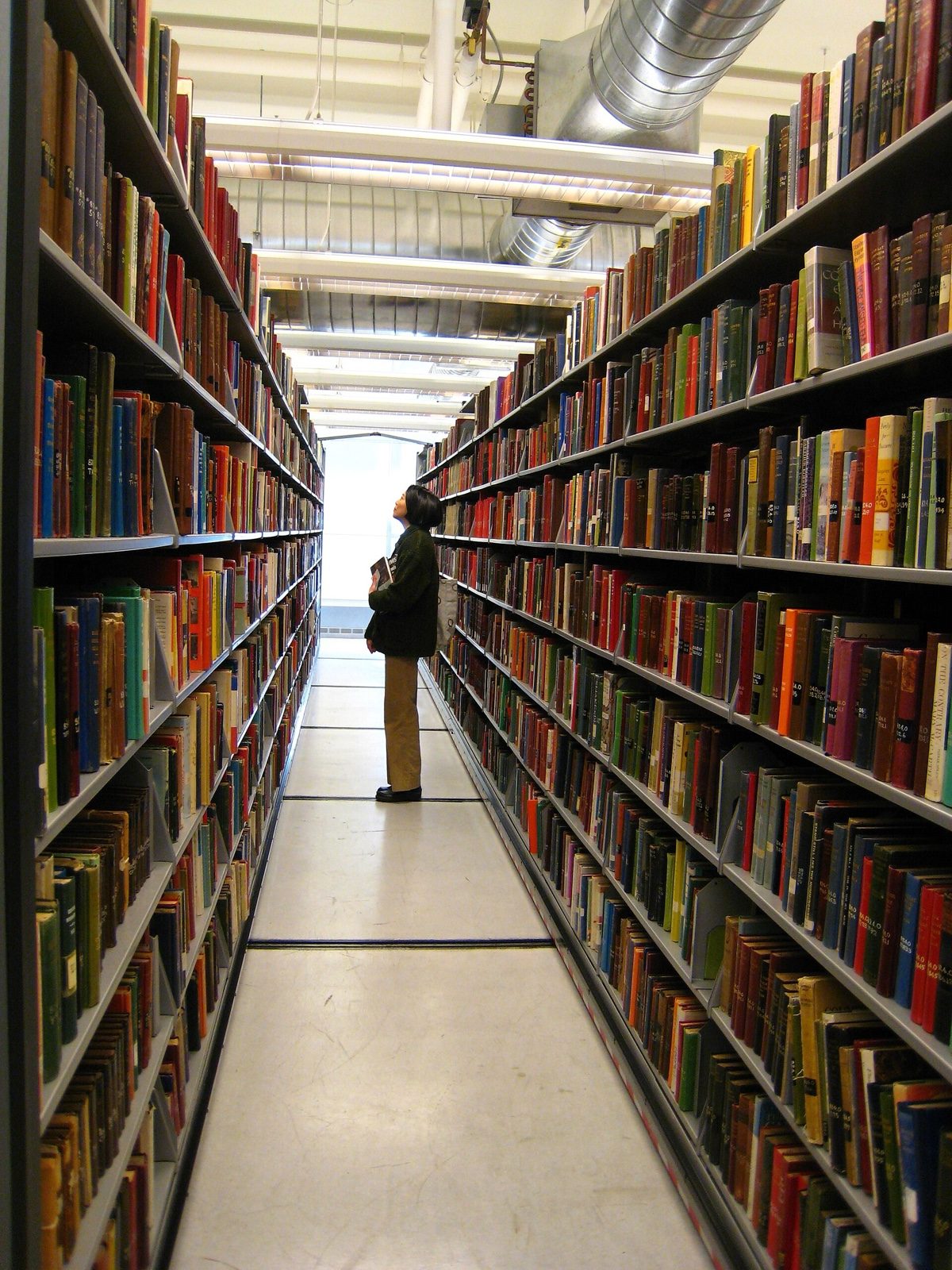 Shelves at a public library (file photo).
